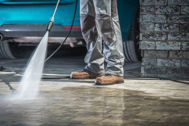 Best Driveway Cleaning and Restoration in Cedar Falls, IA