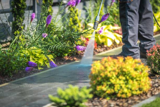 Best Gutter Cleaning and Brightening in Cedar Falls, IA